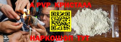 spice Будённовск