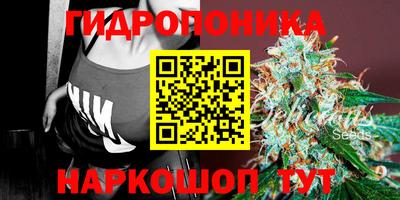 spice Будённовск