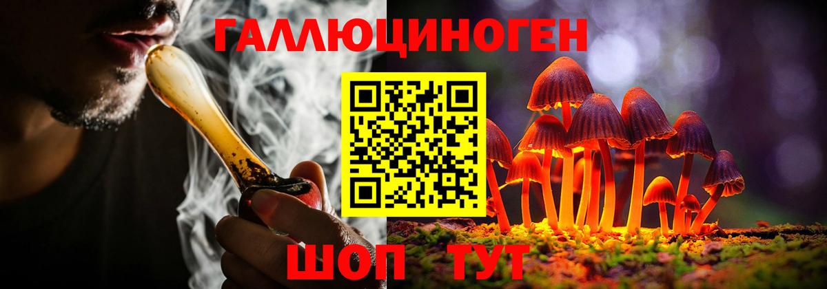 Сокол  Галлюциногенные грибы Cubensis  Псилоцибиновые грибы Cubensis  Вход с VPN 