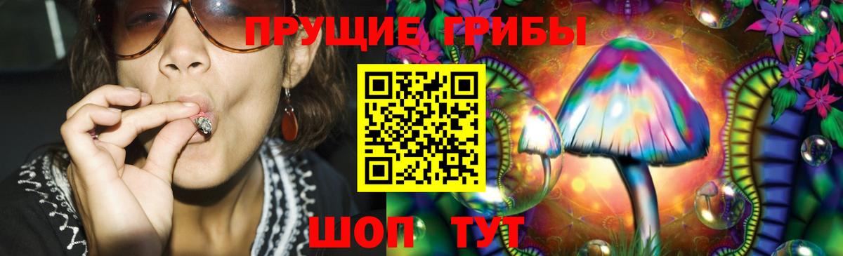 Псилоцибиновые грибы Cubensis Сокол